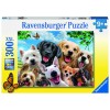 Delighted Dogs Puzzle 300 Teile XXL