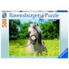 Pferd im Rapsfeld Puzzle 500 Teile