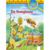 Die Honigbiene Sachwissen für Erstleser