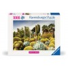 The Huntington Desert Garden, California Puzzle 1000 Teile