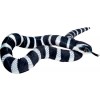 Seeschlange Nature Zoom Wild