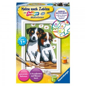 Süße Welpen Malen nach Zahlen Serie F