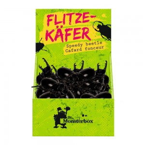 Flitze-Käfer