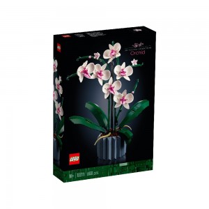 LEGO® 10311 Orchidee