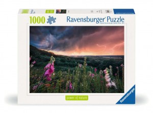 Ein Sturm zieht auf Puzzle 1000 Teile