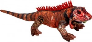 Roter Leguan Nature Zoom Wild