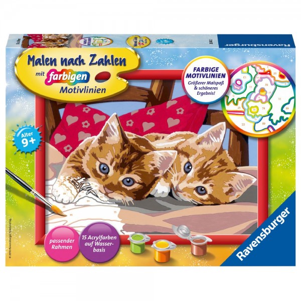 Malen nach Zahlen Zwei Schmusekätzchen