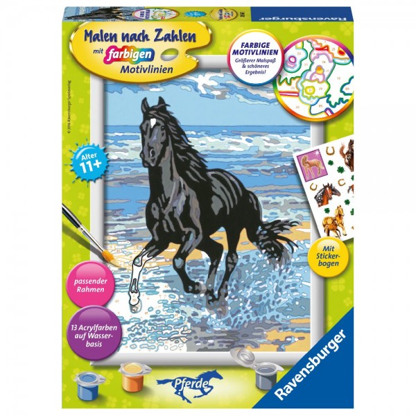 Pferd am Strand Malen nach Zahlen Serie Pferde
