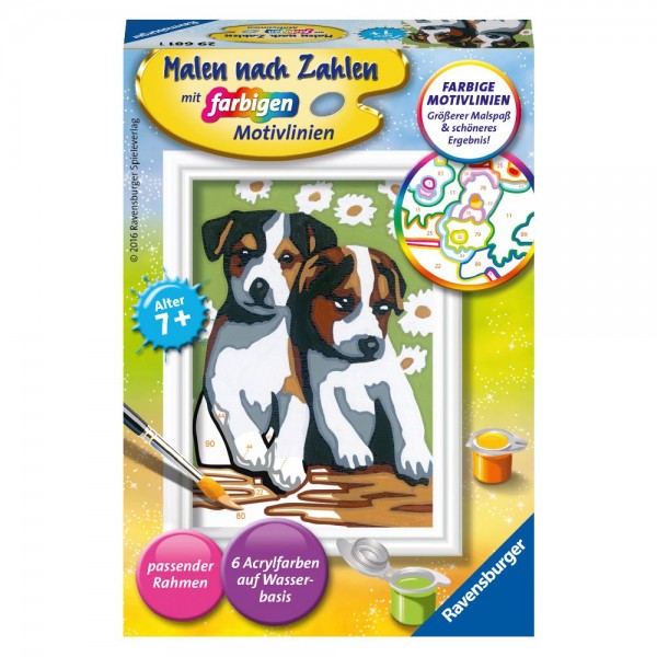 Süße Welpen Malen nach Zahlen Serie F
