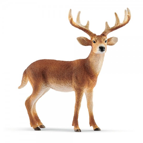 Schleich Wild Life 14818 Weißwedelhirsch