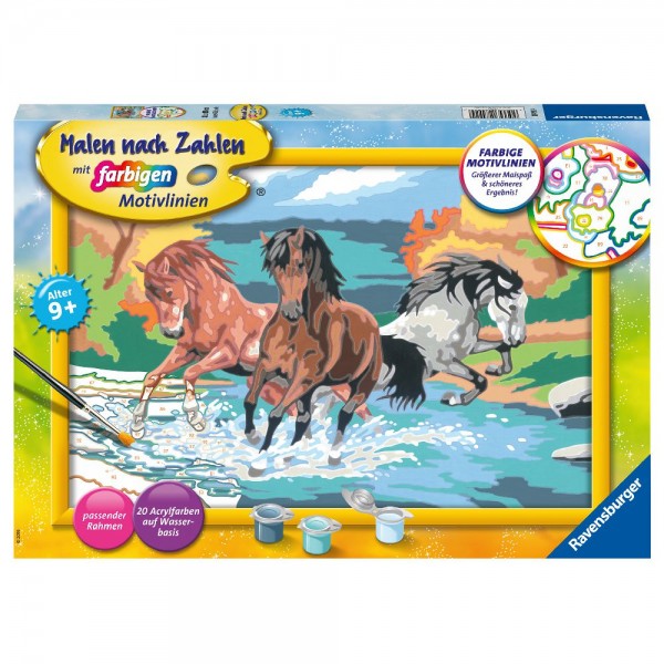 Stolze Wildpferde Malen nach Zahlen Serie C