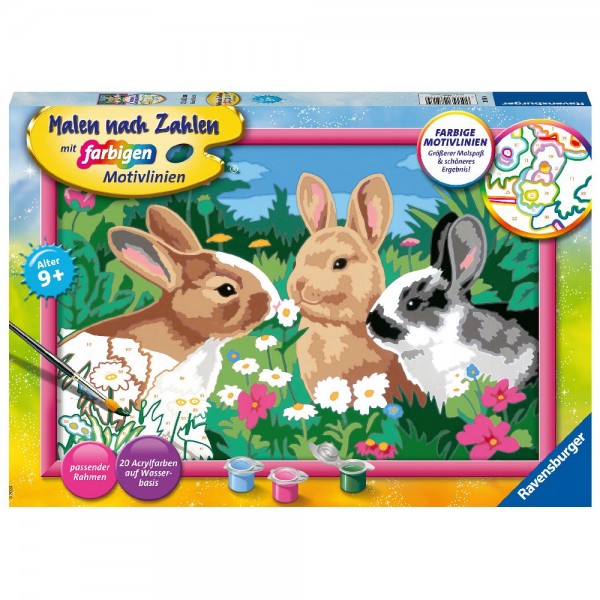 Putzige Häschen Malen nach Zahlen Serie C