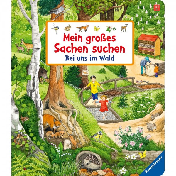Mein großes Sachen suchen: Bei uns im Wald