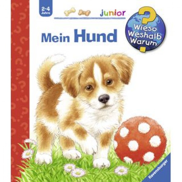 WWWjun41: Mein Hund