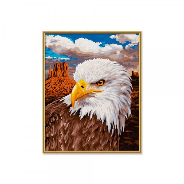 MNZ - Weißkopfseeadler